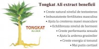 Tongkat Ali Extract beneficii