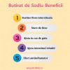 Sodium Butyrate beneficii