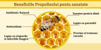 Propolis Beneficii