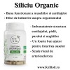 Siliciu Organic Beneficii