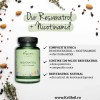 Resveratrol + Nicotinamid 60 Capsule, Trans-Resveratrol 500 mg beneficii