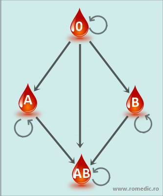 Compatibilitatea grupelor de sânge