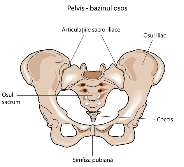 cum să tratezi articulațiile pelvisului)