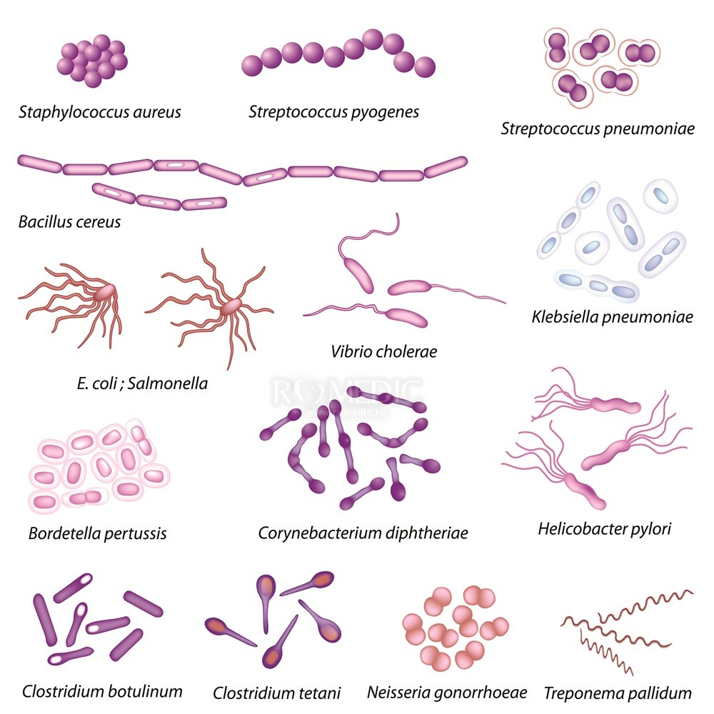 infecția cu boli articulare streptococice