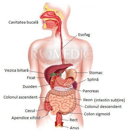 deglutitie dificila