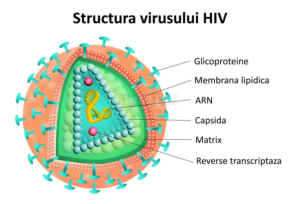 primele simptome hiv
