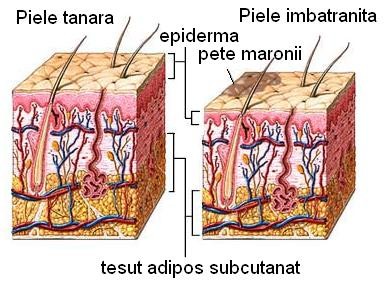 Ingrijirea pielii la orice varsta