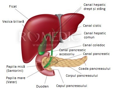 Medicamentele împotriva acidității gastrice pot favoriza apariția bolilor hepatice