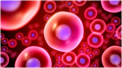 Imortalitatea celulelor stem