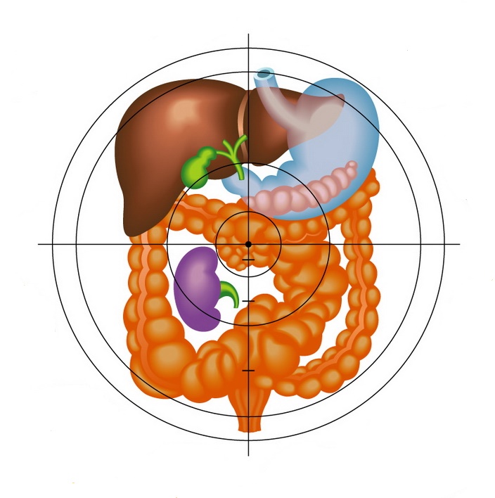 bacterii de pierdere a grăsimilor