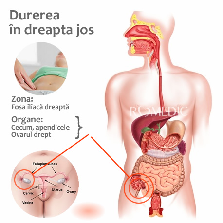 de ce articulațiile doare doar în partea dreaptă