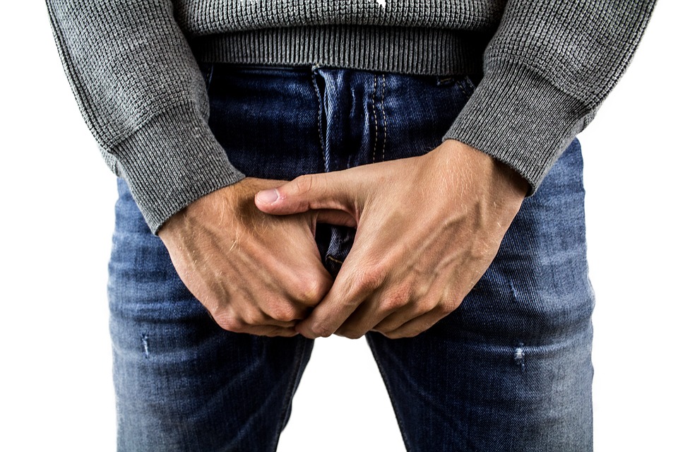 Sistemul genital masculin | Anatomie si fiziologie