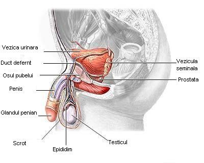 adenom de prostata tratament